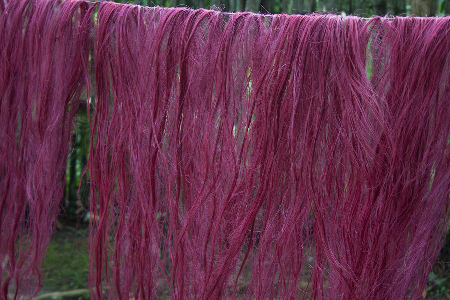 HUITILLO 58_galeria70 _MG_4470.jpg